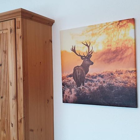 Haus Angelika Apartment Ehrwald Luaran gambar